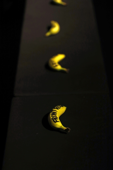 p1d5362_20190117102558050_20190117105646