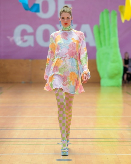 stine-goya_011