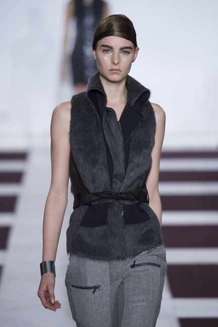 yiqing-yin-hcss15-06a