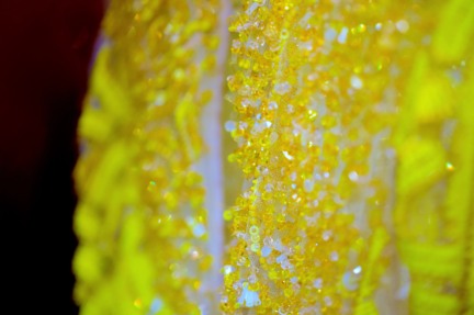 20160705_j-mendel_1241