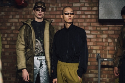 cottweiler-3308
