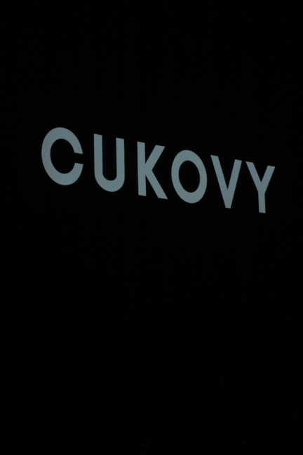 13-budapest-select-rf20-1159_cukovy