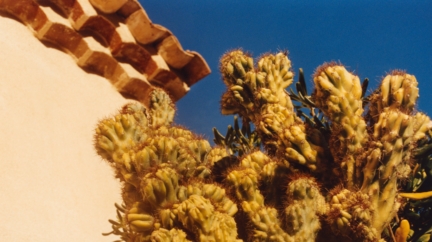 chanel_cruise-2024-25-show-photos-by-jamie-hawkesworth_16-9-10-hd