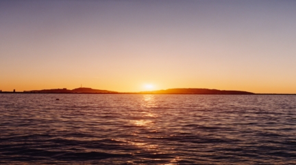 chanel_cruise-2024-25-show-photos-by-jamie-hawkesworth_16-9-5-hd