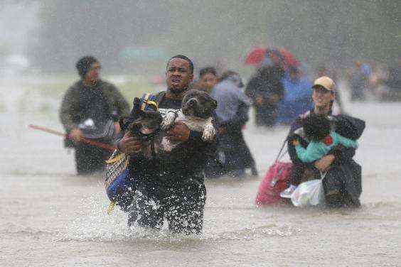 people-escape-from-floods-with-their-pets-possessions