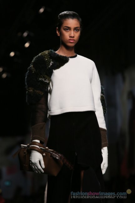 fendi-milan-fashion-week-autumn-winter-2014-00085