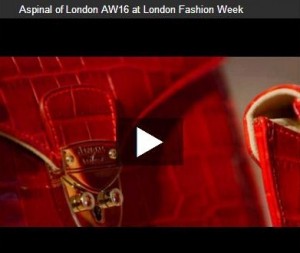 Aspinal of London - London Fashion Week AW 16