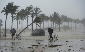 Hurricane Irma 1 (8)