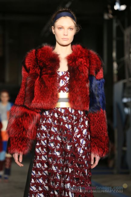 roksanda-ilincic-london-fashion-week-autumn-winter-2014-00166