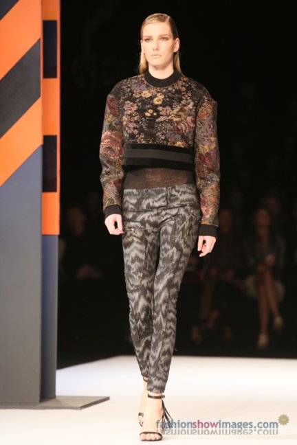 just-cavalli-milan-fashion-week-autumn-winter-2014-00050